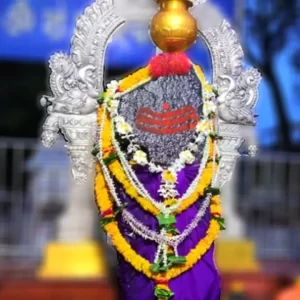 shani chalisa lyrics in hindi